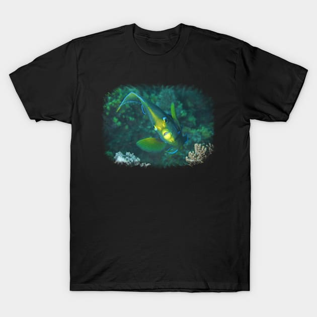 Angelfish | Floats in the coral reef | T-Shirt by Ute-Niemann